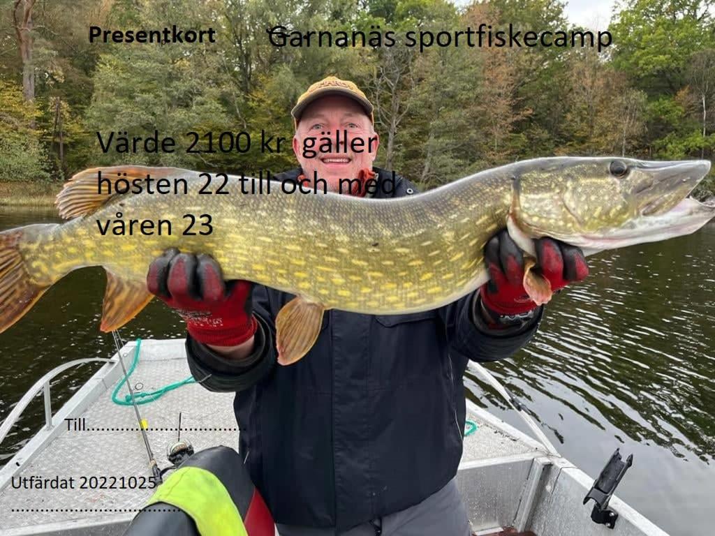 Magasinet Villa Brakne-Hoby Exteriör bild